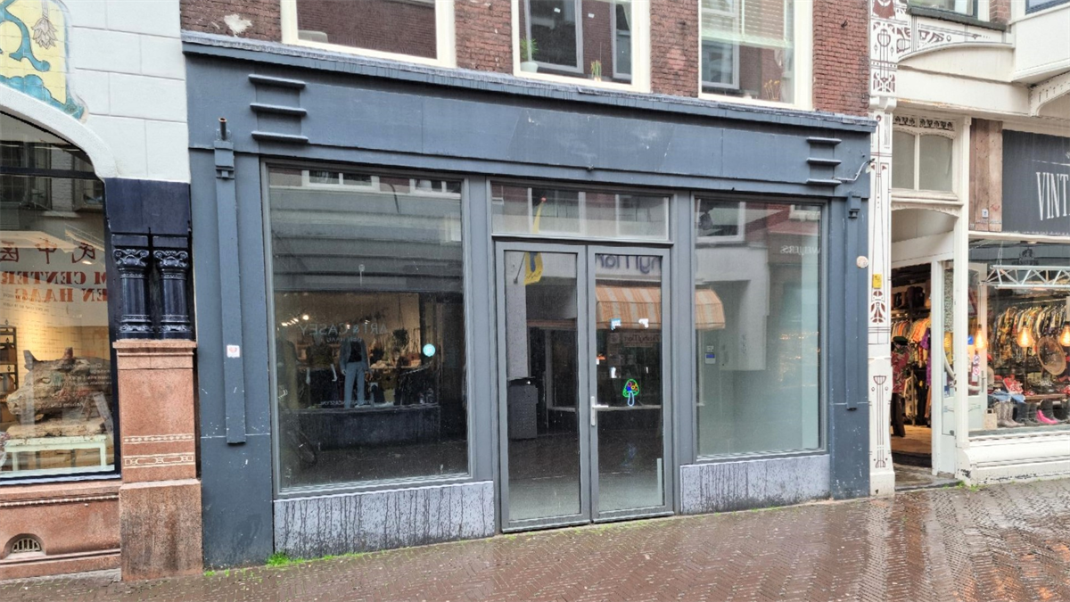Ventu afbeelding korte-poten-55-te-den-haag.jpg